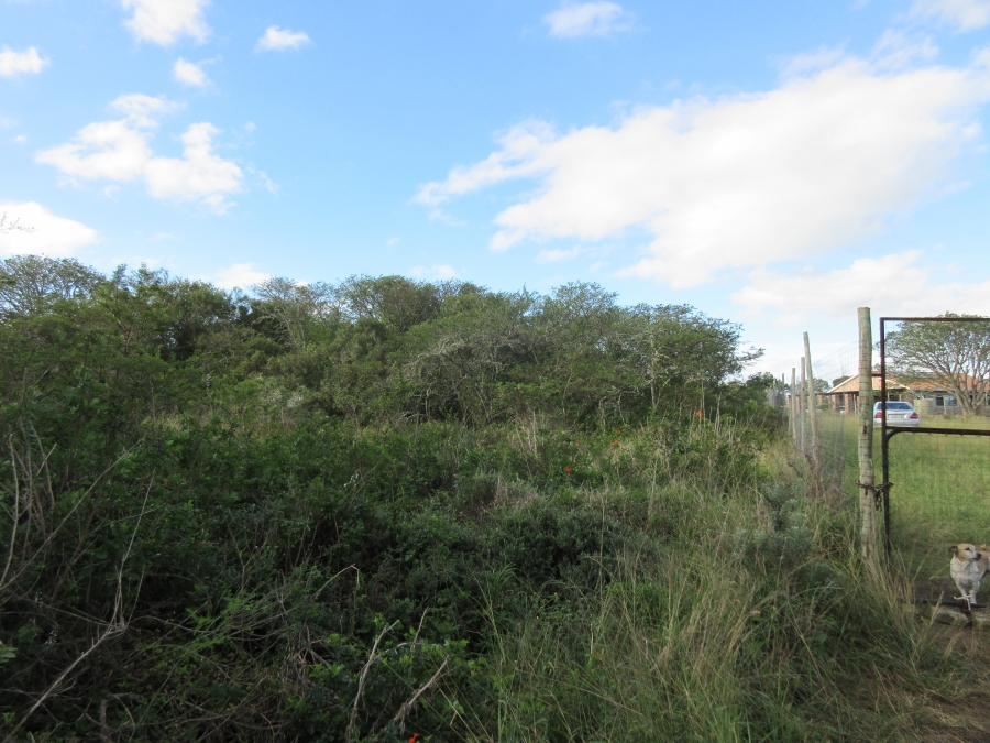 0 Bedroom Property for Sale in Bathurst Eastern Cape